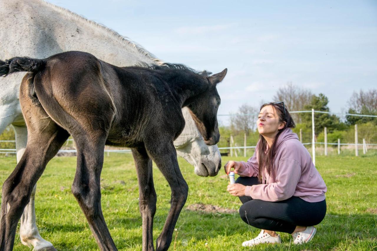 Modern Rancho - Apartamenty Nad Rzeka, Przy Stadninie Koni Kruszyna  Luaran gambar