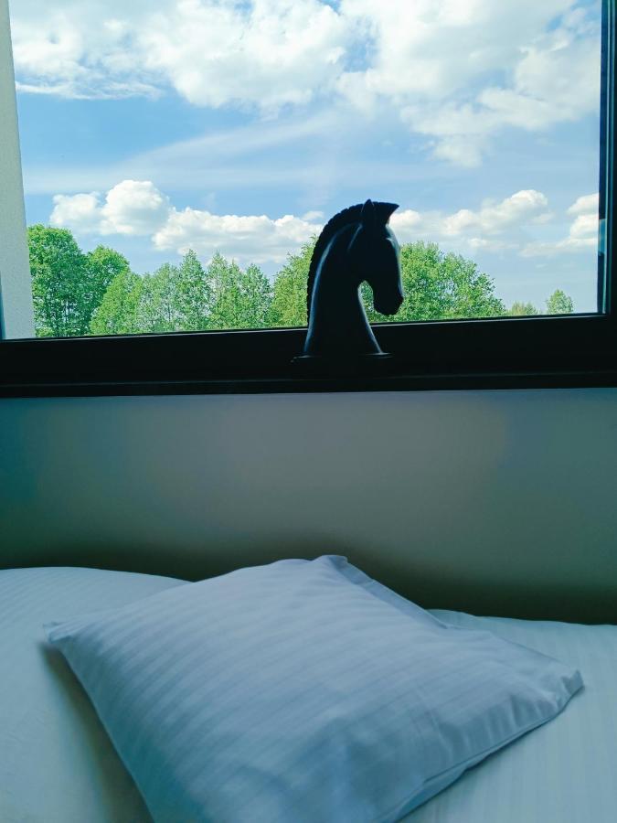 Modern Rancho - Apartamenty Nad Rzeka, Przy Stadninie Koni Kruszyna  Luaran gambar