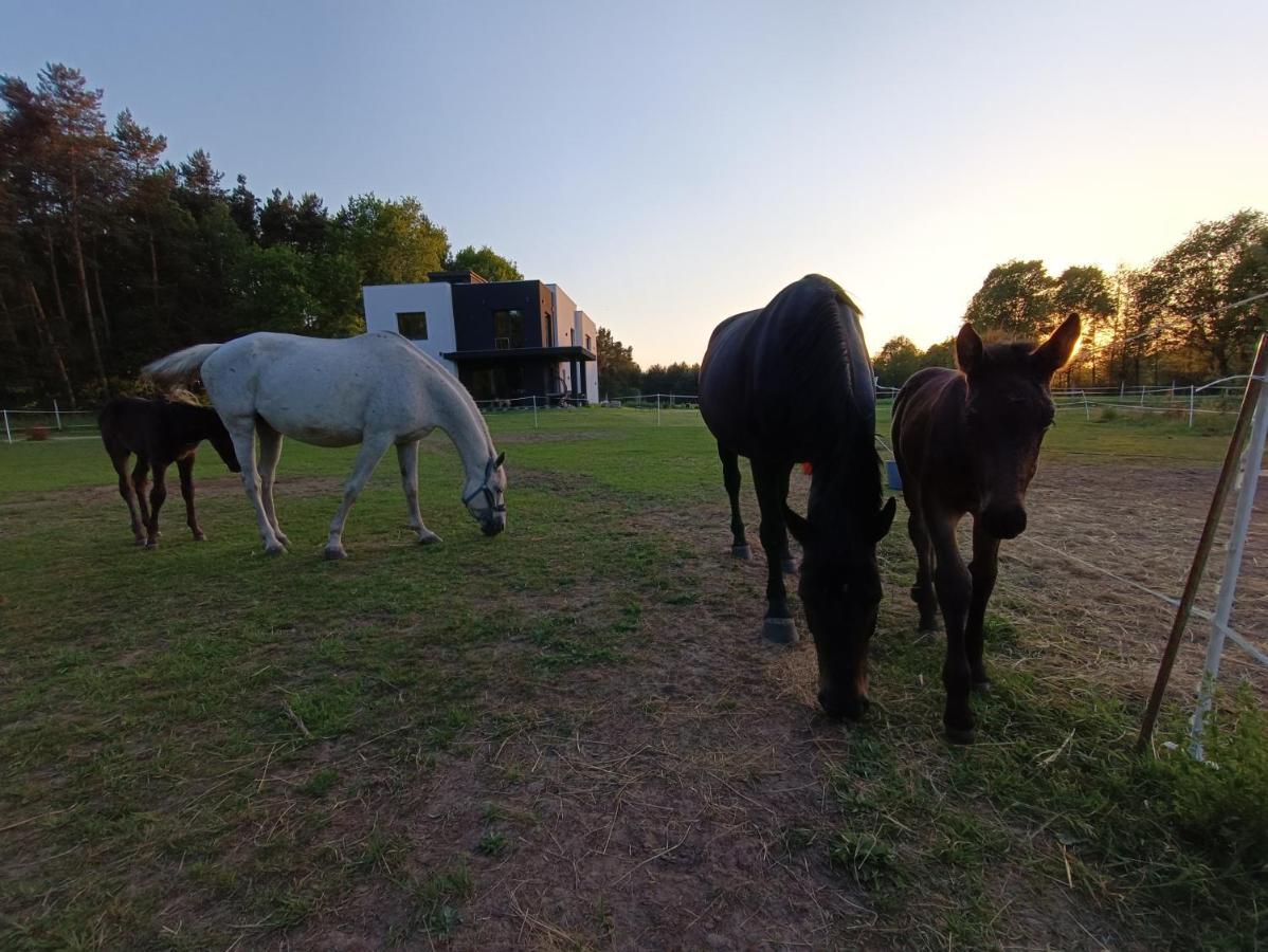 Modern Rancho - Apartamenty Nad Rzeka, Przy Stadninie Koni Kruszyna  Luaran gambar